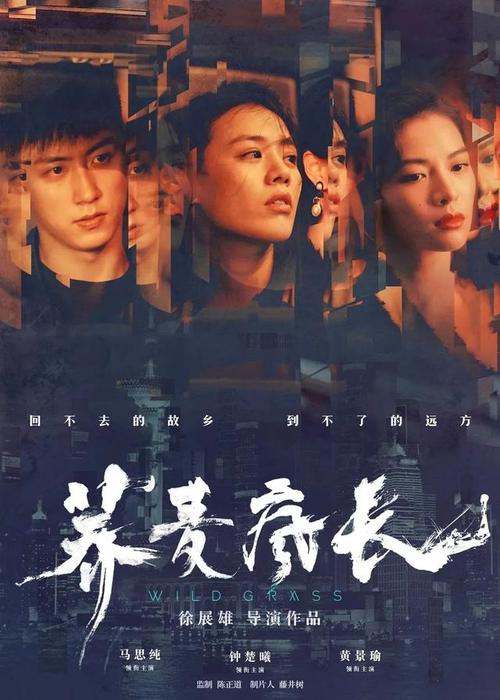 秋田看護福祉大学计算机科学文凭证书